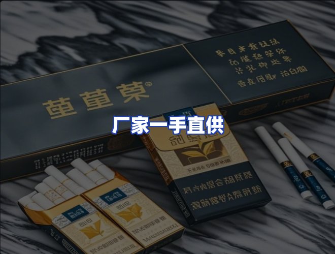 专业团队